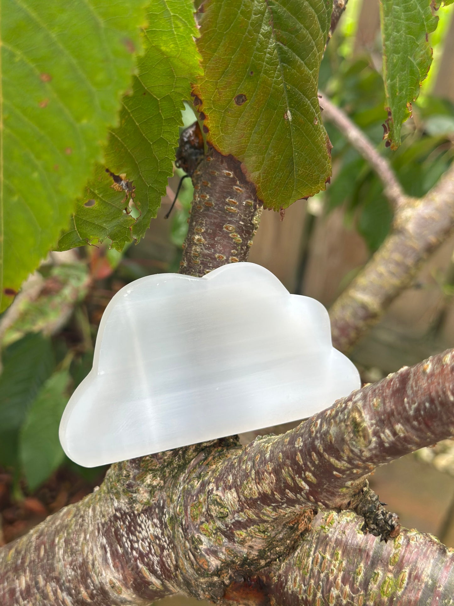 Selenite Trays