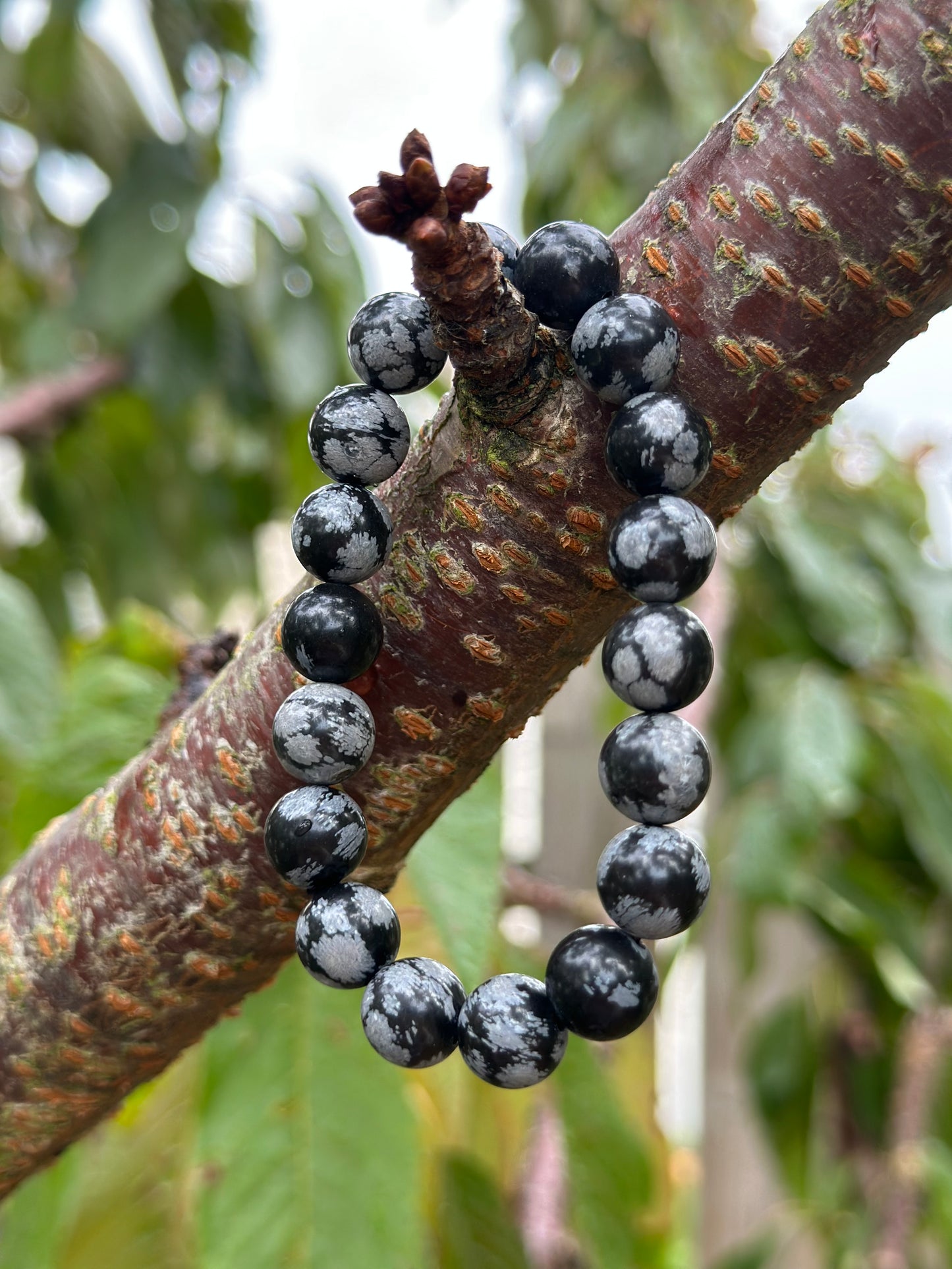 Snowflake Obsidian