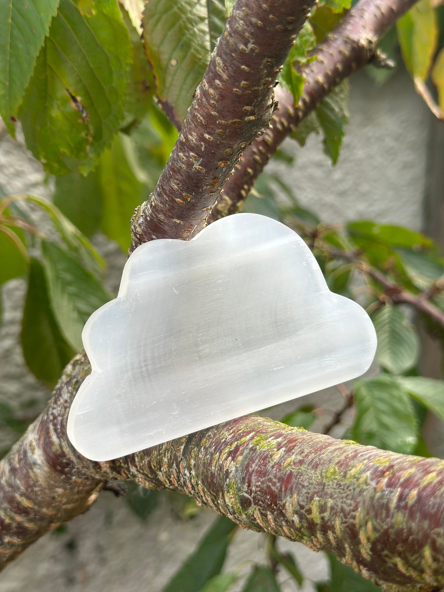 Selenite Trays