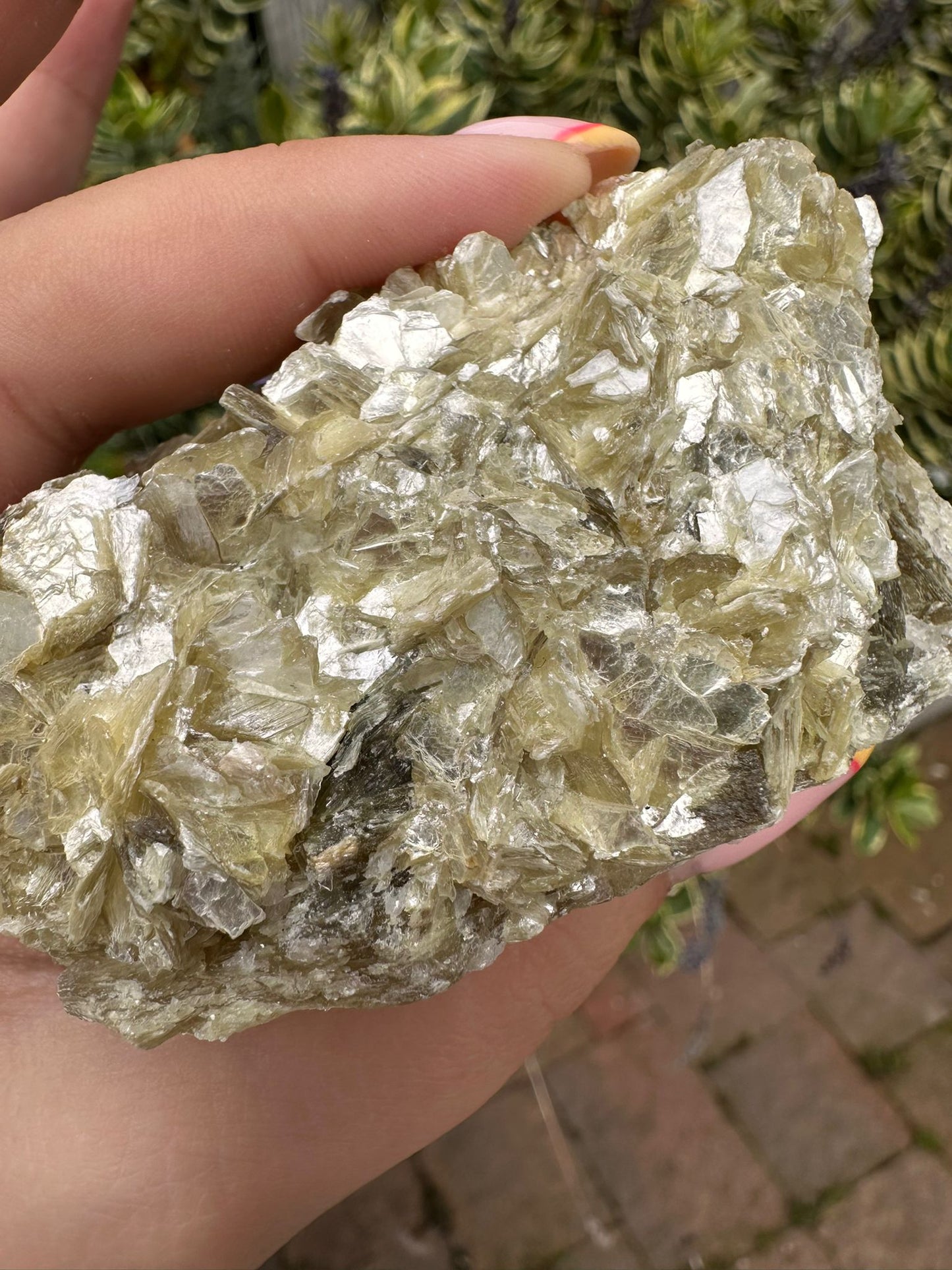 Golden Mica