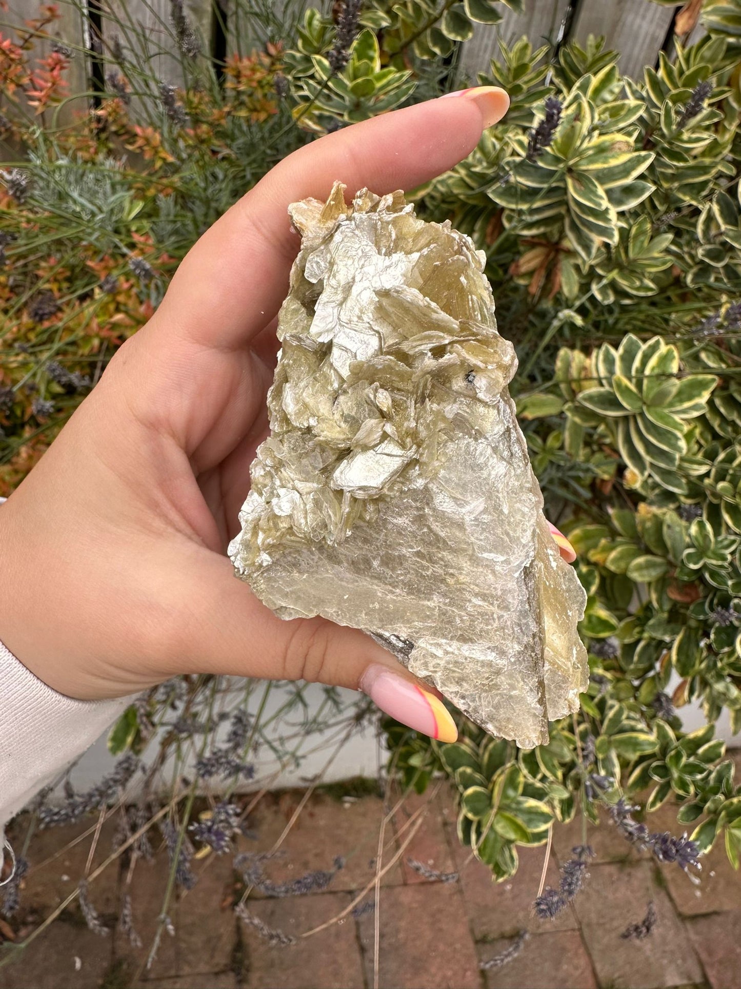 Golden Mica