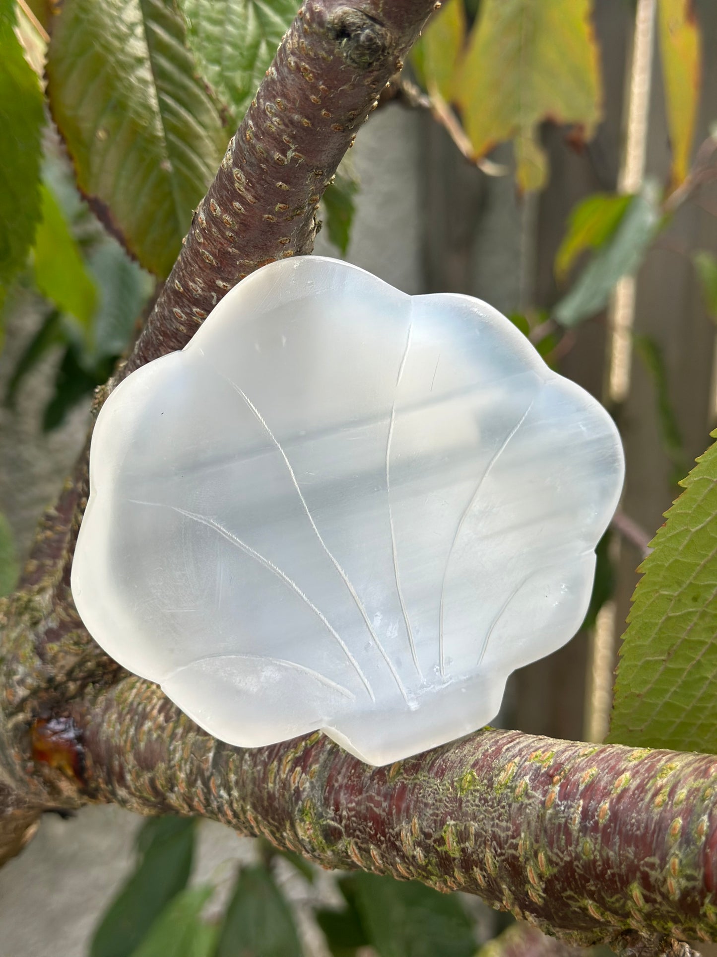 Selenite Trays