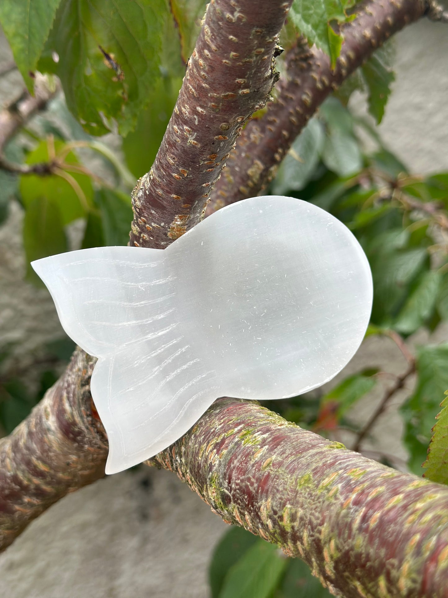 Selenite Trays