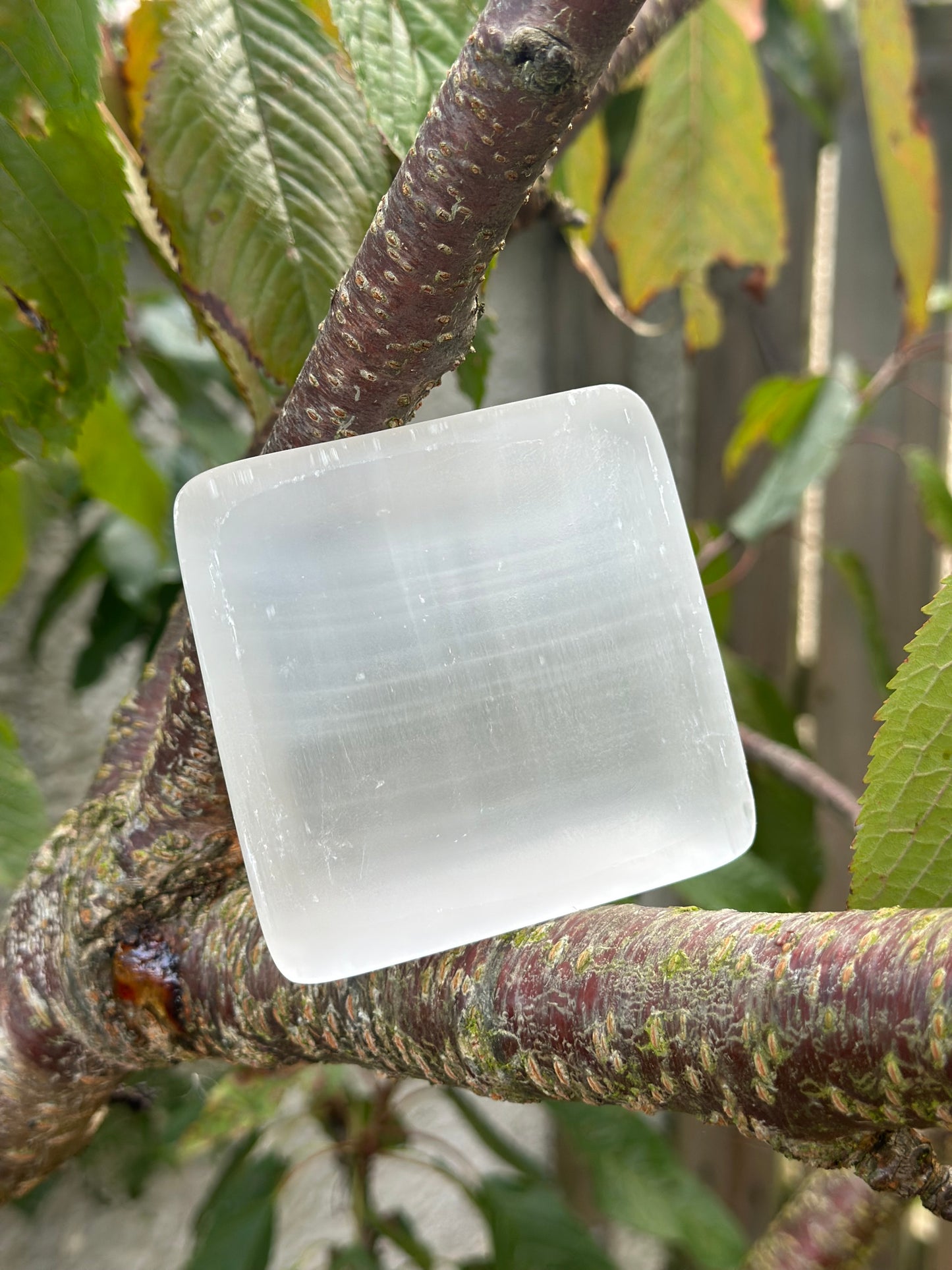 Selenite Trays