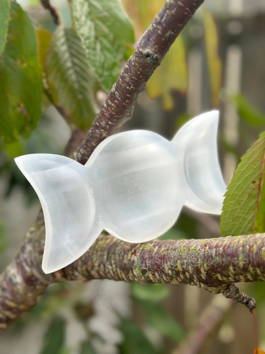 Selenite Trays