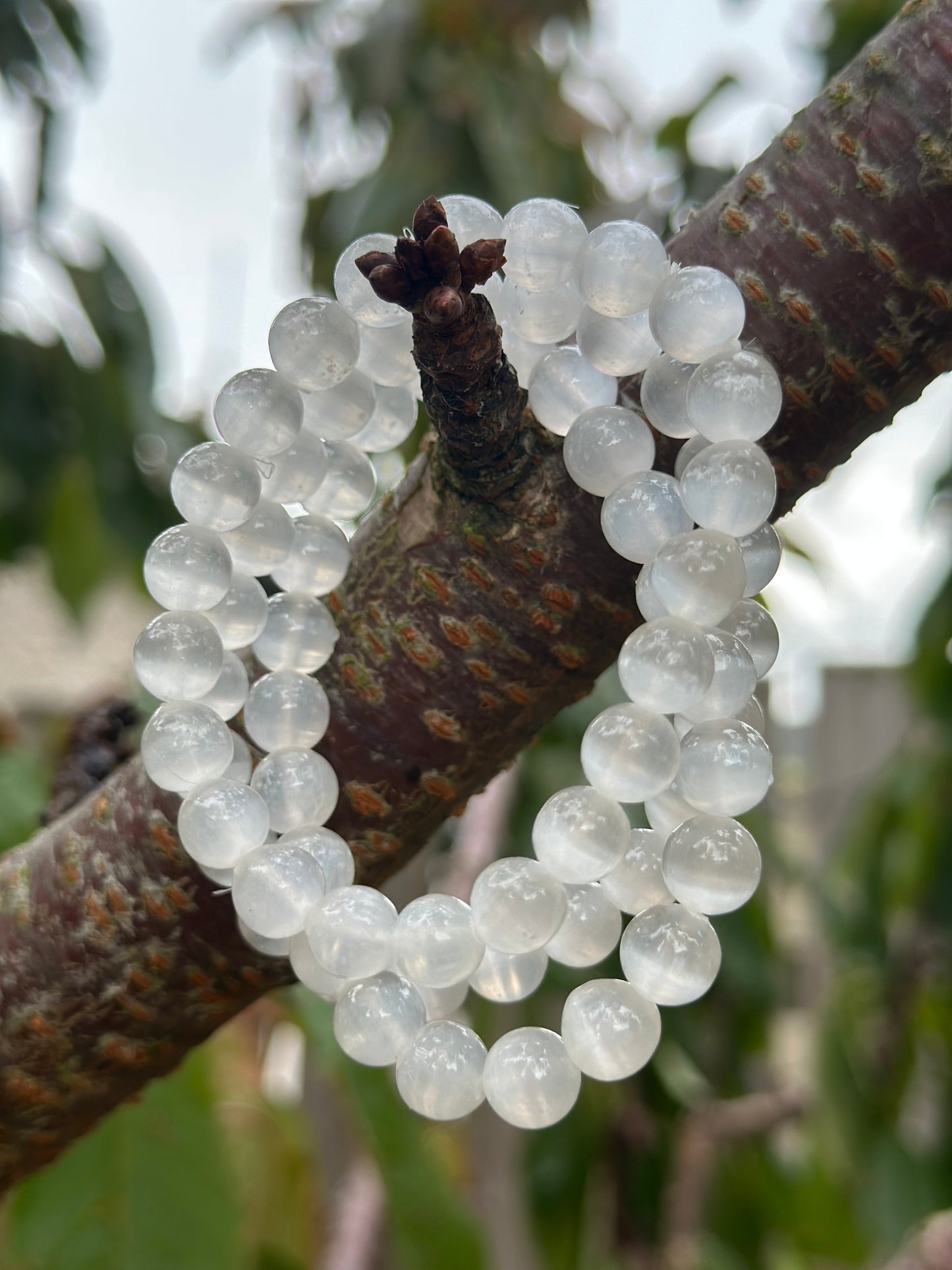 Selenite (9 options available)