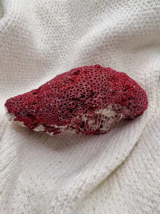 Natural Red Coral