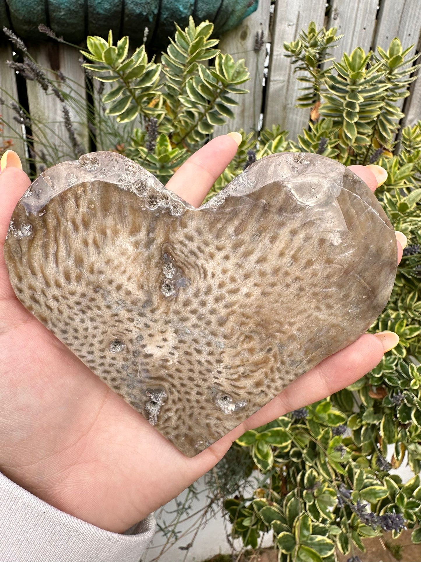 Coral Jade Heart