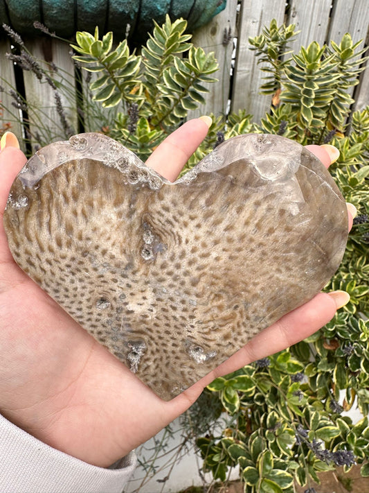 Coral Jade Heart