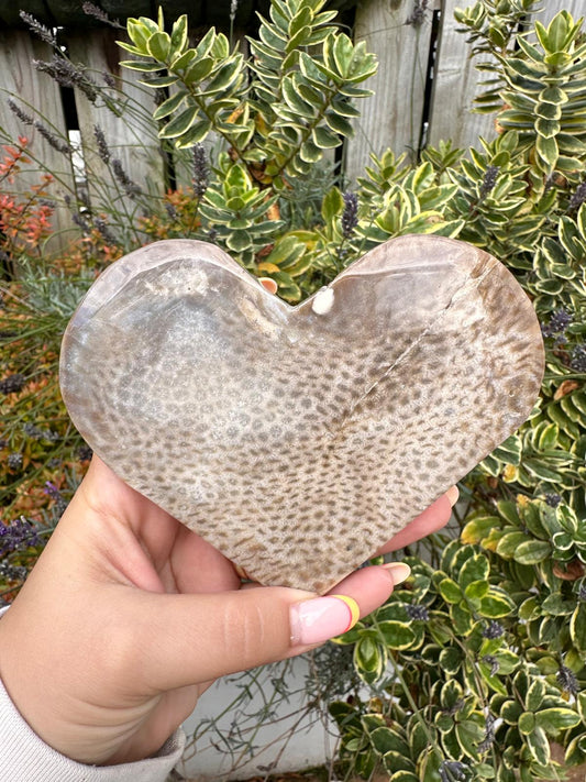 Coral Jade Heart